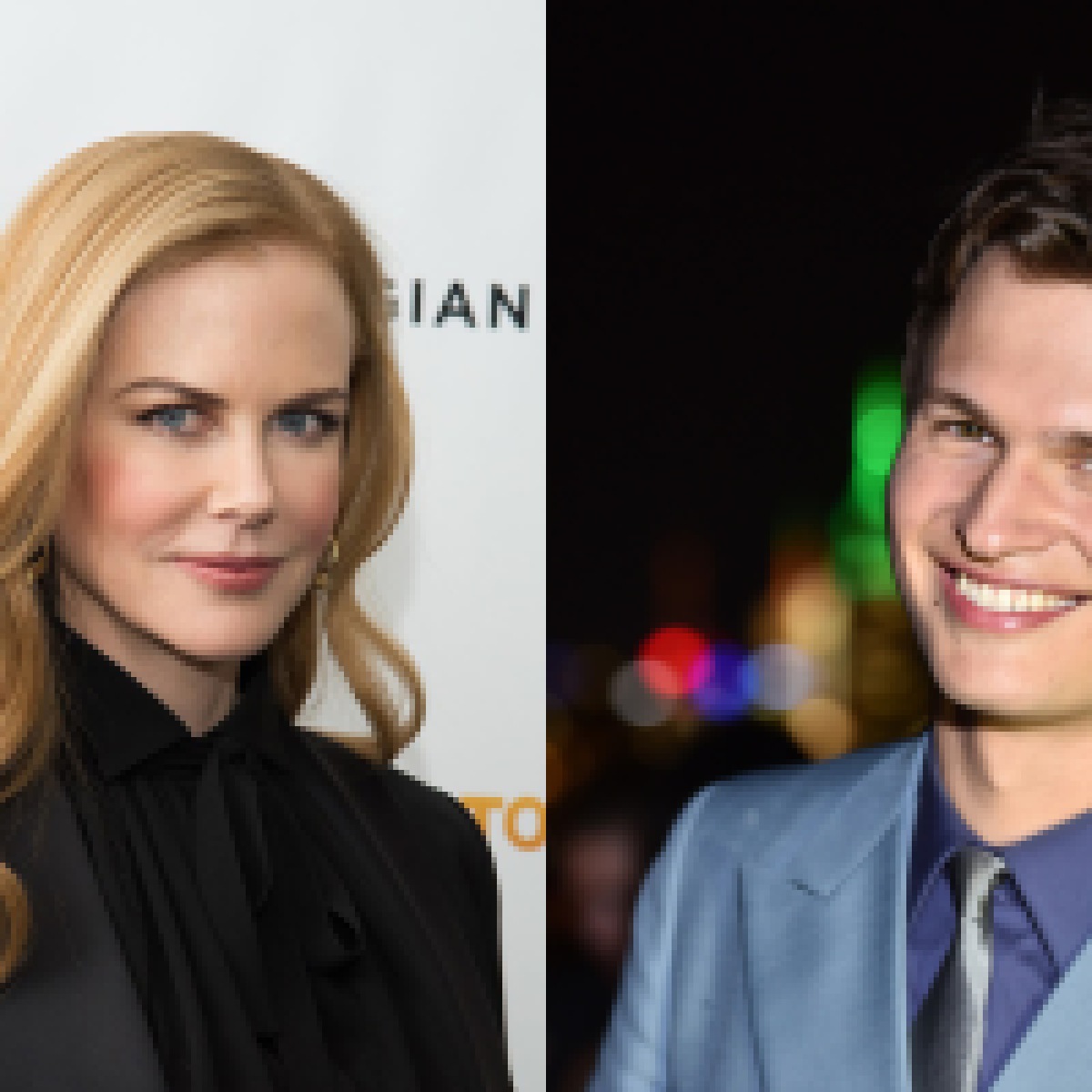 Nicole Kidman, Ansel Elgort and Finn Wolfhard now filming 'The Goldfinch'